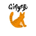Set of Orange Cats. Vector Royalty Free Stock Photo