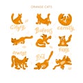Set of Orange Cats. Vector Royalty Free Stock Photo