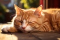 An orange cat laying on a wooden floor, AI