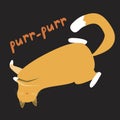 An orange cat lies on its back and lettering with the text purr-purr is isolated on a black background for design, a Scandinavian Royalty Free Stock Photo