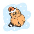 Orange cat in Santa hat