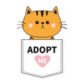 Orange cat sitting in the pocket. Adopt me. Pink heart. Cute cartoon animals. Kitten kitty character. Dash line. Pet animal collec Royalty Free Stock Photo