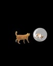 Orange cat walking towards a calico kitten trapped inside a clear bubble on a black background. Royalty Free Stock Photo