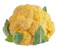 Orange Cauliflower Royalty Free Stock Photo