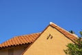 Orange cement house facade with adobe red roof tiles and vents with front yard trees in downtown neighborhood in city