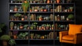 Modern Bookcase With Cacti: Innovative Plant Selection Photography In London