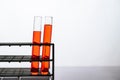 Orange chemicals in a science glass tube arranged on a shelf