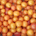 Orange cherry tomatoes