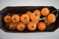 orange cherry tomatoes on a branch on a substrate, minimalism Royalty Free Stock Photo