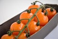 orange cherry tomatoes on a branch on a substrate, minimalism Royalty Free Stock Photo