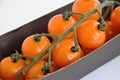 orange cherry tomatoes on a branch on a substrate, minimalism Royalty Free Stock Photo