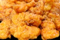 Orange chicken Royalty Free Stock Photo