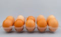 chicken eggs. High protein food. Animal egg panel. Chicken egg shells. Orderly arrangement Royalty Free Stock Photo