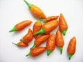 Orange chilli pepper still life