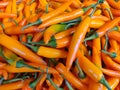 Orange chillies in a heap