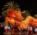 Orange Chinese Dragon Head and Palm Trees