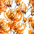 Orange chrisanthemium pattern Royalty Free Stock Photo