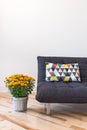 Orange chrysanthemums and sofa with bright cushion Royalty Free Stock Photo