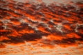 Orange Cirrocumulus clouds