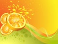 Orange citrus fruit. Royalty Free Stock Photo