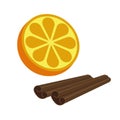 Orange citrus fruit and cinnamon icon bright art vector