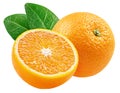 Orange citrus fruit with half isolated on white Royalty Free Stock Photo