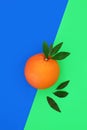 Orange Citrus Fruit Healthy Food Abstract Design Royalty Free Stock Photo