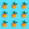 Orange Citrus Fruit High in Antioxidants Royalty Free Stock Photo