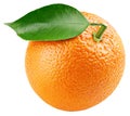 Orange citrus fruit with leaf isolated on white