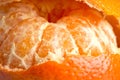 Orange citrus fruit mandarin closeup