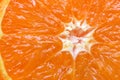 Orange citrus fruit section