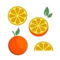 Orange citrus parts set half fruit icon bright art vector