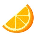 Orange citrus slice, fresh fruit isolated on white, vector illustration. Healthy organic food at background, juicy ripe Royalty Free Stock Photo