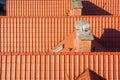 Orange clay tiles on top of a roof .