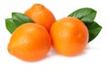 Orange clementine or minneola tangelo with green leaves isolated on white background. Tangerine. Citrus fruit