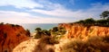 Orange cliffs,pines and ocean(Algarve,Portugal) Royalty Free Stock Photo