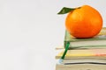 Orange close up on the books isolated Royalty Free Stock Photo