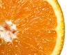 Orange close up. slice and peel. Abstract background with citrus fruit of orange Royalty Free Stock Photo