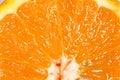 Orange close up. slice and peel. Abstract background with citrus fruit of orange Royalty Free Stock Photo