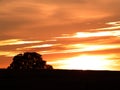 Orange Clouds At Sunset With Oak Tree And Hill Royalty Free Stock Photo