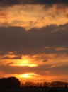 Orange clouds at sunset over silhouettes trees Royalty Free Stock Photo