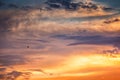 Orange cloudscape and flying birds , sunset shot Royalty Free Stock Photo