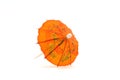 Orange cocktail umbrella #1 Royalty Free Stock Photo