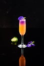 Orange cocktail with vodka and grape syrups Royalty Free Stock Photo
