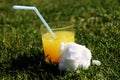 A orange coctail with snow ball in grass on the garden party