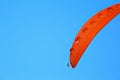 Orange color gerbera refraction on water drops, on blue background