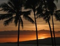 Orange Color Hawaiian Sunset In Honolulu Hawaii