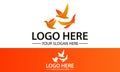 Orange Color Three Bird Fly Together Logo Design