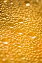 Orange color waterdrops Royalty Free Stock Photo