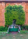 Orange colored bricks stone wall with grunge green metal grid door covered with arched tree, green grass, and plants